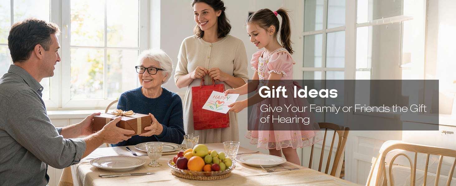 OTC Rechargeable Hearing Aids for Seniors, 5-Level Volume Control, Noise Cancelling & Easy Setup | bluedeer hearing aids A10
