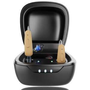 Hearing Aids BD-B102