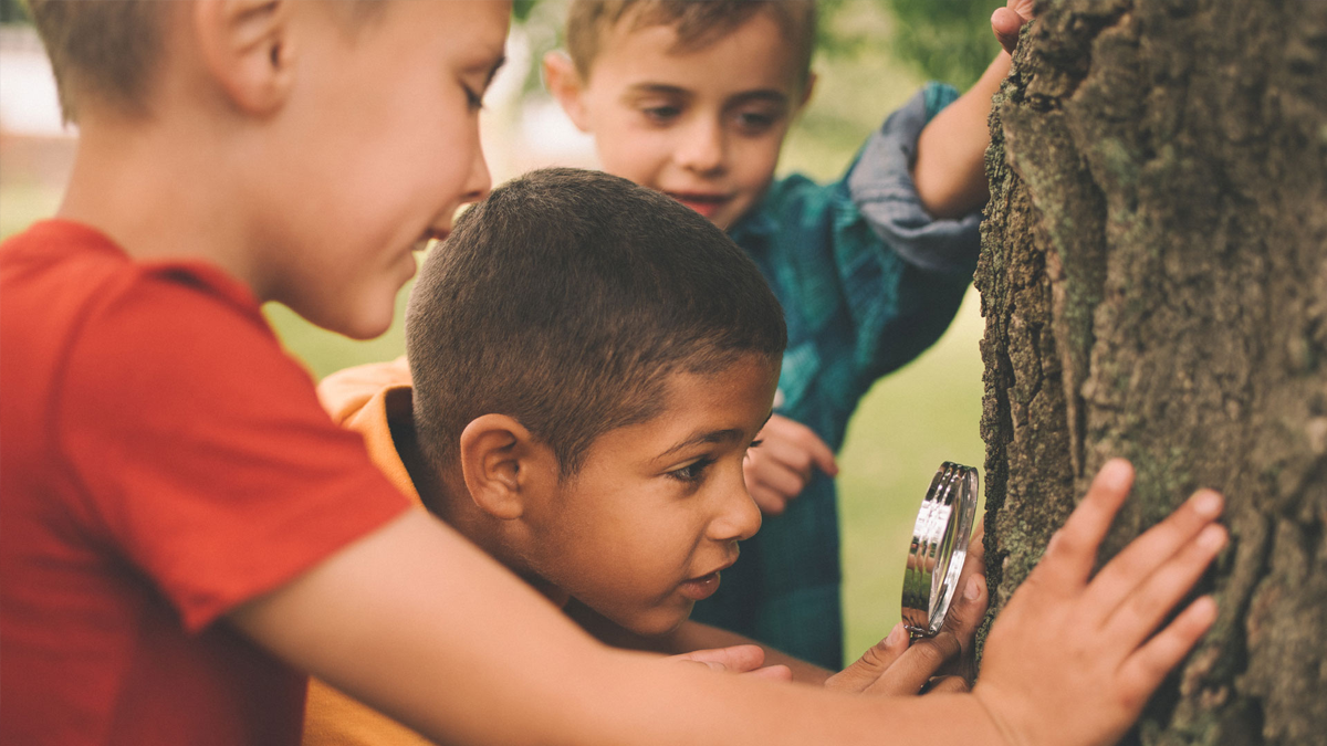 Untapped Billions: How Pediatric & Industrial Hearing Tech is Reshaping Global Healthcare | bluedeer hearing aids kids looking at a tree with a magnifying glass